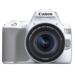 Зеркальный фотоаппарат CANON EOS 250D kit